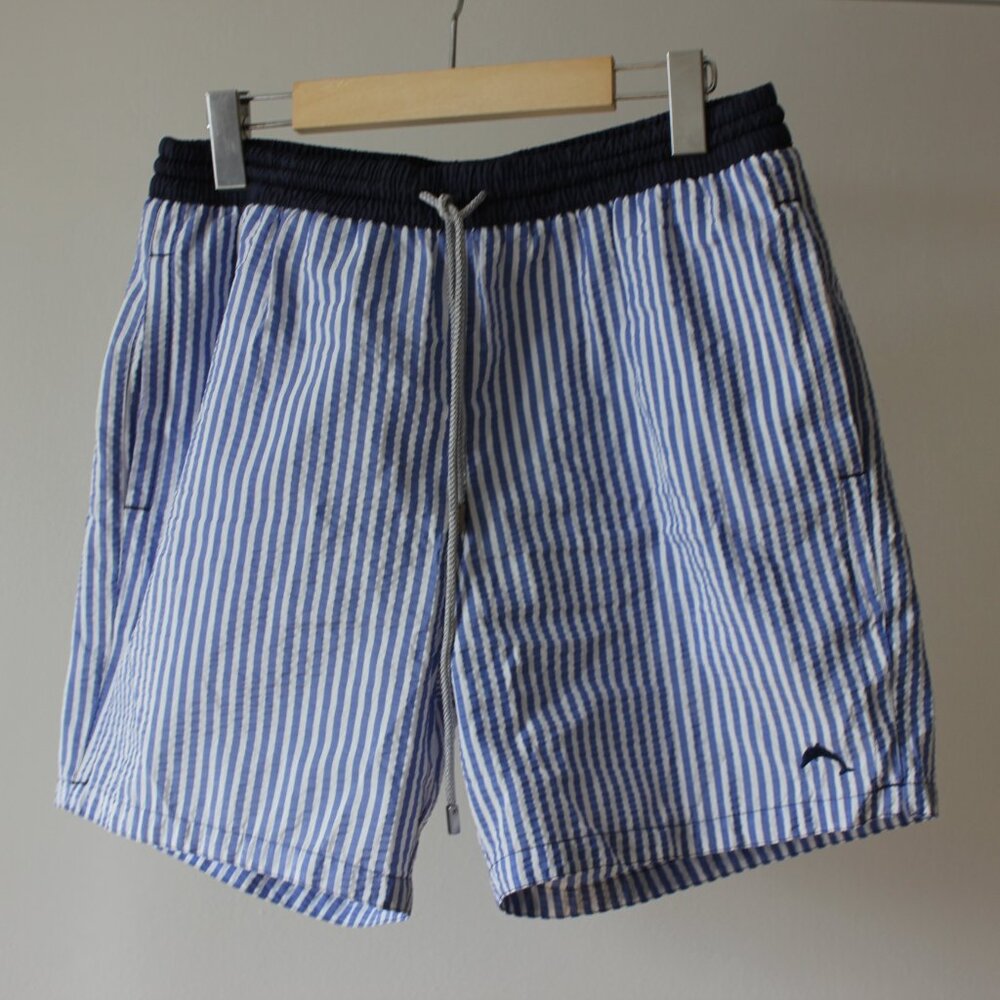 Zeybra Striped Blue Swim Shorts
